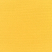Sunbrella® Canvas Sunflower Yellow