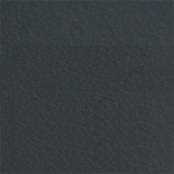 Cast in Ebony