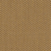 Sunbrella® Sailcloth Spice