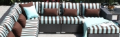 Chorus Collection
