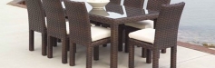 Contempo Collection